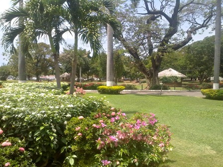 Devon House gardens Kingston Jamaica