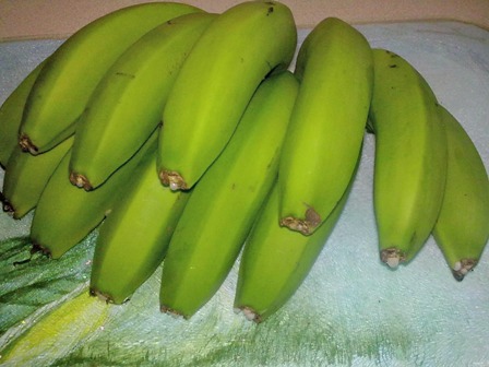 Jamaica green bananas