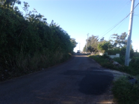 Potsdam District Main Road