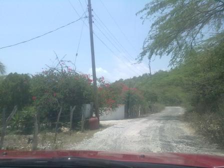 On the Road Billy's Bay Area