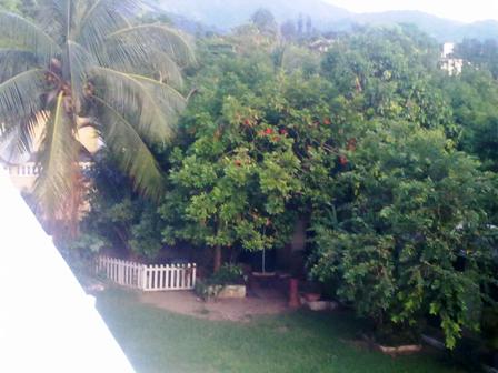 Residential uptown Kingston